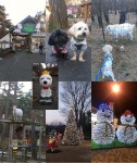 20130102ドギー